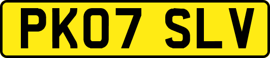 PK07SLV