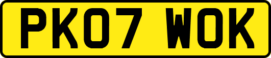 PK07WOK