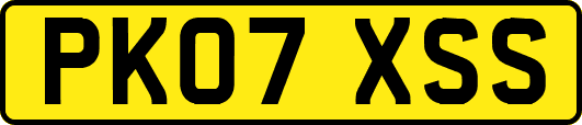 PK07XSS