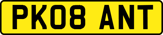 PK08ANT