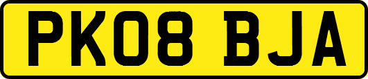 PK08BJA