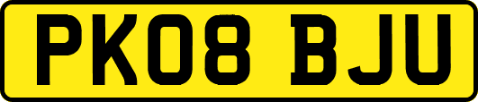 PK08BJU