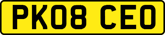 PK08CEO