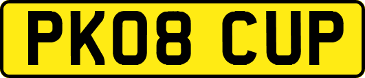 PK08CUP