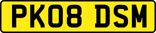 PK08DSM