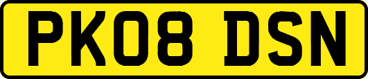 PK08DSN