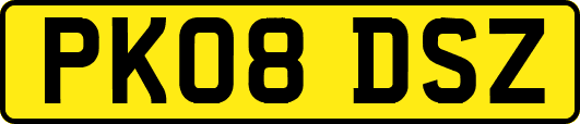 PK08DSZ