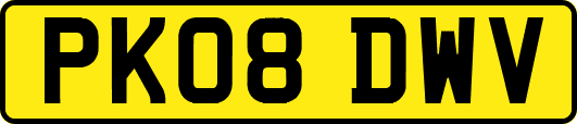 PK08DWV