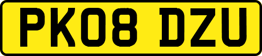 PK08DZU