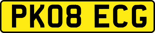 PK08ECG