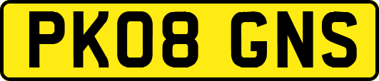 PK08GNS