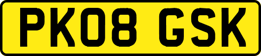 PK08GSK