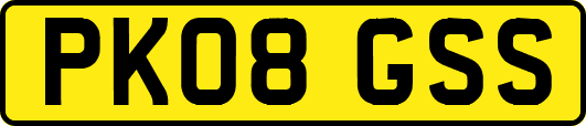 PK08GSS