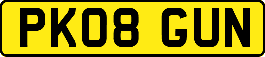 PK08GUN