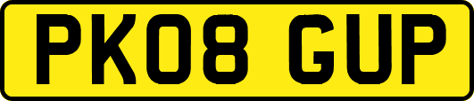 PK08GUP