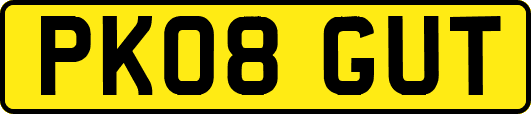 PK08GUT