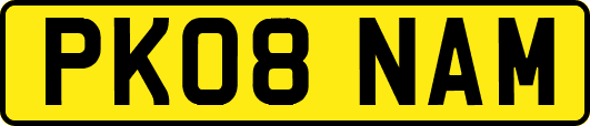 PK08NAM
