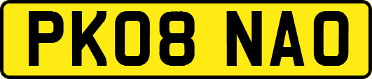 PK08NAO