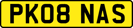 PK08NAS