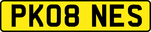 PK08NES