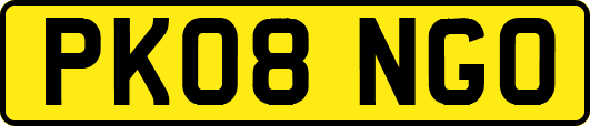 PK08NGO