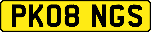 PK08NGS