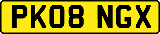 PK08NGX