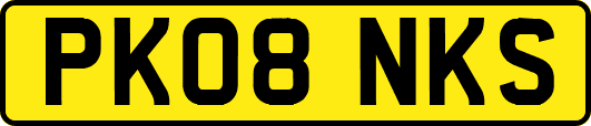 PK08NKS