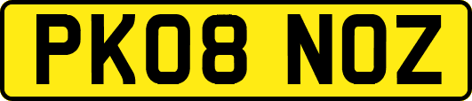 PK08NOZ
