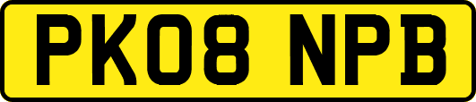 PK08NPB