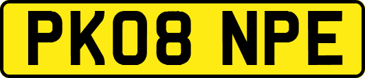 PK08NPE