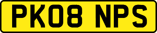PK08NPS
