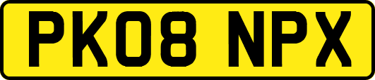 PK08NPX