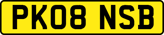 PK08NSB