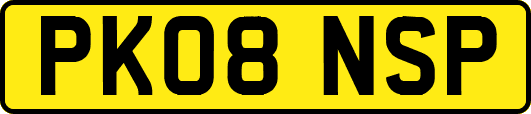 PK08NSP