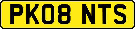 PK08NTS