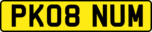 PK08NUM