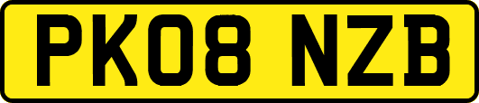 PK08NZB