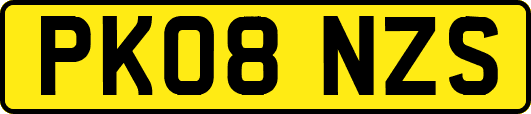 PK08NZS