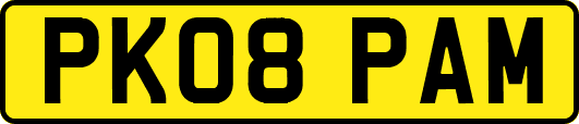PK08PAM