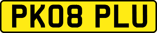 PK08PLU