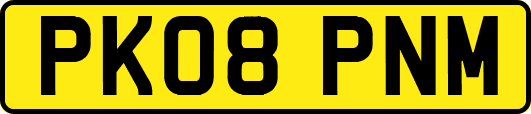 PK08PNM