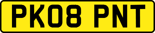 PK08PNT