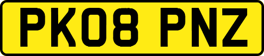 PK08PNZ
