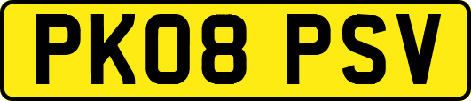 PK08PSV