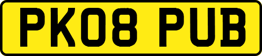 PK08PUB