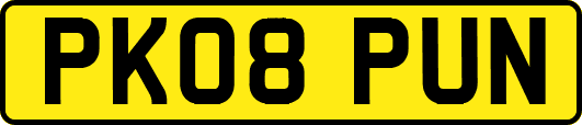 PK08PUN