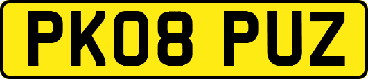 PK08PUZ