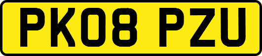 PK08PZU