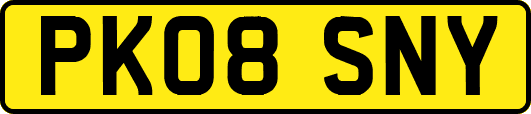 PK08SNY